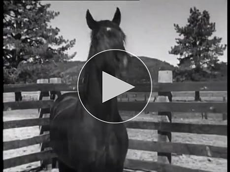 41tZDQ6+yqL._SY350_PKmb-play-